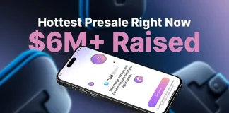 Cold Wallet’s $6M Presale Attracts Millions In August 2025 While Shiba Inu & Stellar (XLM) Heats Up
