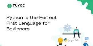 Why Python is the Perfect First Language for Beginners