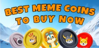 4 Top New Meme Coins to Invest in Now—Early Buyers Could See 2500% ROI