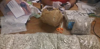 Bribery Attempt Fails as Police Uncover R350k Drug Stash in Knysna Bribery Attempt Fails as Police Uncover R350k Drug Stash in Knysna