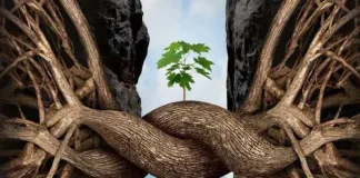 From Insight to Impact: How Assessments Drive Meaningful Coaching
