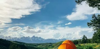 Why Camping Is the Secret to a Perfect Kiwi Summer