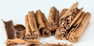 How Can You Successfully Grow Cinnamon in the US and Texas?