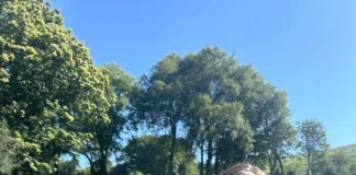 A Summer Jaunt in Europe: From Castles to Canals