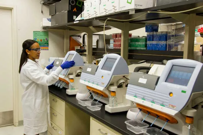 Stem Cell Research