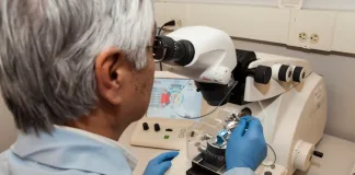 Stem Cell Research