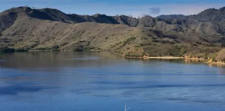 Komodo Island Vacation