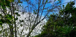 Top 5 Best Priced Neighborhoods in San Jose, California
