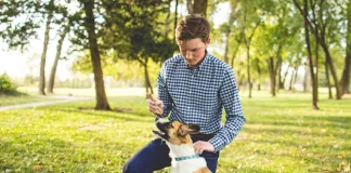 7 Ways to Build a Happier, Smarter Dog Through Bootcamp‑Style Training