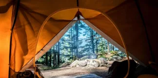 Canvas Memories: Why Tent Camping is in New Zealand's DNA
