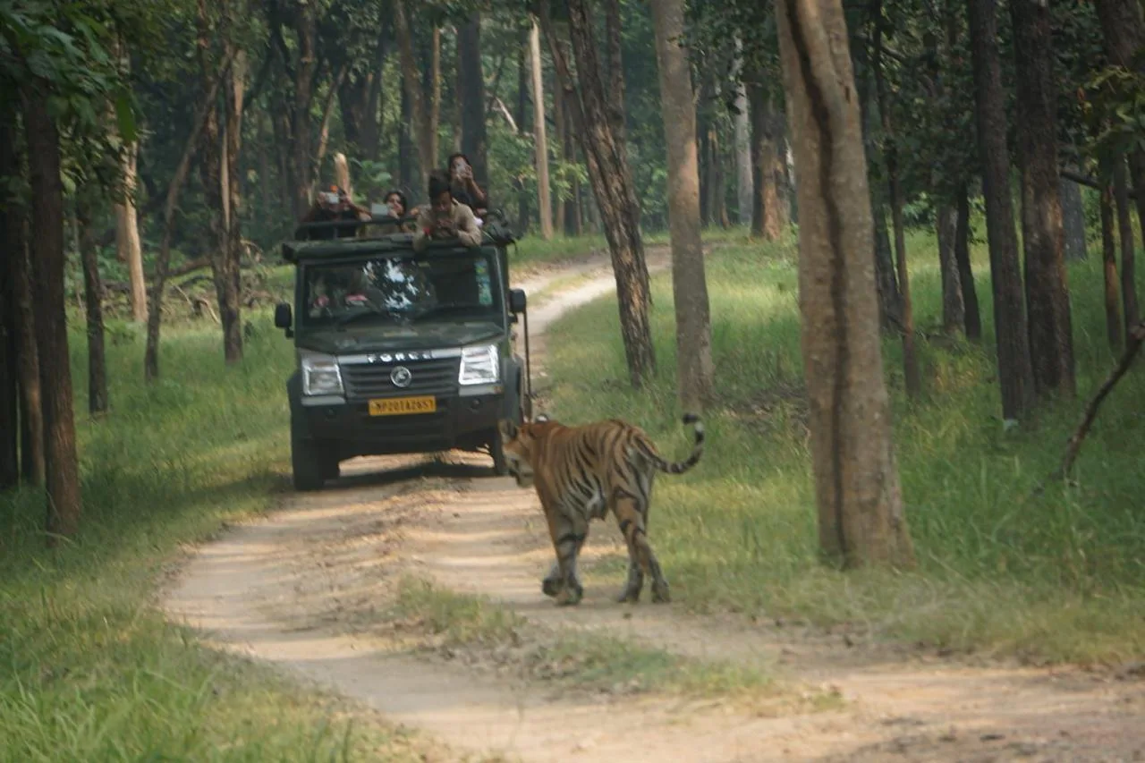 Madhya Pradesh Tourism – Explore the Heart of Incredible India.