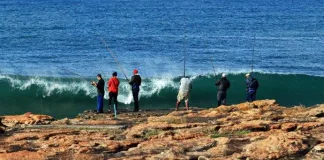 7 Reasons the KZN South Coast is Your Ultimate Summer Beach Destination