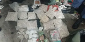 Major Drug Bust in Summer Greens Leads to Arrest Major Drug Bust in Summer Greens Leads to Arrest