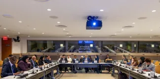 DCO Member States Underscore Commitment to Digital Cooperation in Joint Statement at UNGA 80