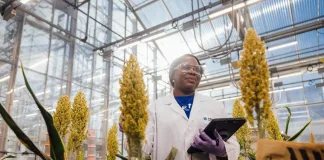 Advancing agricultural research: Corteva’s strategic collaboration with research institutions in South Africa