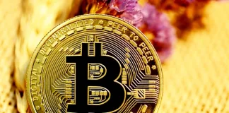 Next 100x Crypto Presale Heats Up: Bitcoin Shows Strength, Polkadot Accelerates, BullZilla Presale Steals the Spotlight Next 100x Crypto Presale Heats Up: Bitcoin Shows Strength, Polkadot Accelerates, BullZilla Presale Steals the Spotlight