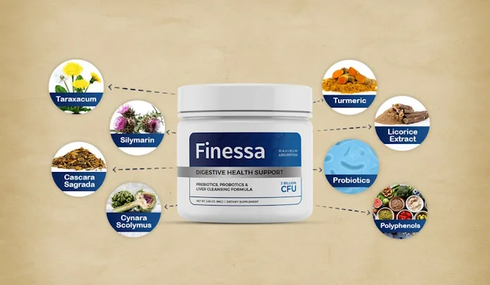 Finessa Reviews (User Feedback And Complaints Exposed) Read Everything Before You Buy 