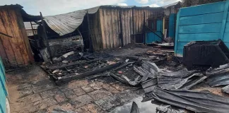 TEARS Animal Rescue needs help after fire at the premises TEARS Animal Rescue needs help after fire at the premises