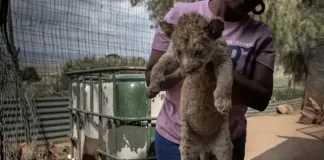 South Africa Marks World Tourism Day 2025 with Call for Ethical Travel
