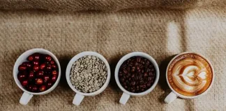 KZN MEC Backs Coffee Sector with Ugu District Social Compact to Drive Growth on the South Coast KZN MEC Backs Coffee Sector with Ugu District Social Compact to Drive Growth on the South Coast