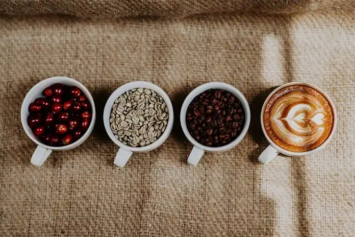 KZN MEC Backs Coffee Sector with Ugu District Social Compact to Drive Growth on the South Coast KZN MEC Backs Coffee Sector with Ugu District Social Compact to Drive Growth on the South Coast