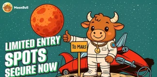 Ready for the Next Bull Run? MoonBull Whitelist Sparks Hype as the New Meme Coin to Watch – Turbo Soars, Cheems Roars Back Ready for the Next Bull Run? MoonBull Whitelist Sparks Hype as the New Meme Coin to Watch - Turbo Soars, Cheems Roars Back