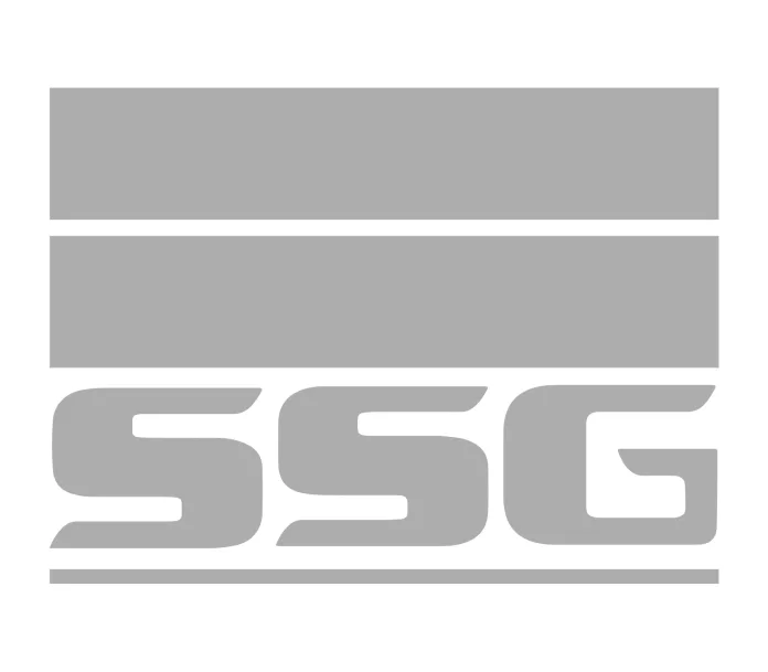 SSG Holdings