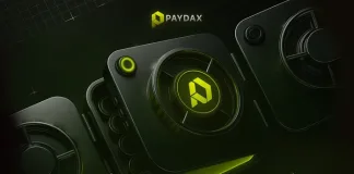 Want To Take Advantage Of Crypto, Real-World Assets, And DeFi In One Place? Paydax (PDP) Is The Answer