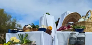 Fresh Flavour Meets Fire: Tru-Cape Backs Ultimate Braai Master Season 9 in the Hunt for South Africa’s Most Valuable Braaier Fresh Flavour Meets Fire: Tru-Cape Backs Ultimate Braai Master Season 9 in the Hunt for South Africa’s Most Valuable Braaier