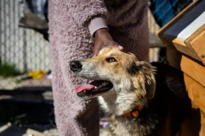 World Rabies Day 2025: ‘Act Now: You, Me, Community’ World Rabies Day 2025: ‘Act Now: You, Me, Community’