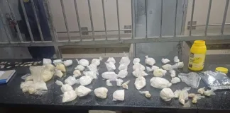 Police Arrest 54-Year-Old Man in R900,000 Drug Bust Police Arrest 54-Year-Old Man in R900,000 Drug Bust