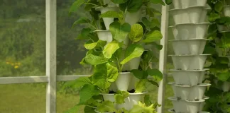 Revolutionizing Modern Gardening with the ALTO Garden GX Hydroponic Tower Revolutionizing Modern Gardening with the ALTO Garden GX Hydroponic Tower
