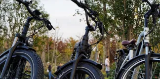 Folding Electric Bike vs. Regular E-Bike: Which One Should You Buy?