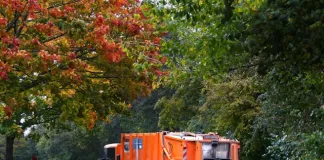 Debris Removal Katowice – A Complete Guide to Containers and Waste Disposal Services