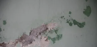 4 Mistakes Homeowners Make When Repainting Their Home’s Exterior