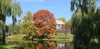Ontario Home Insurance and Climate Change: Are You Properly Covered?