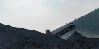 Fuel Depot Łaziska and Mikołów – Where to Buy the Best Coal and Eco-Pea Coal in Silesia?