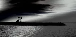 Roman Spiridonov and Petroruss: Pioneering Opportunities in Global Energy Trade