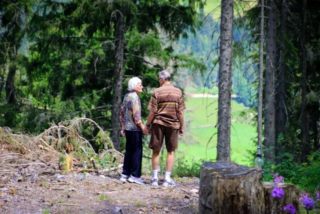 pexels-magda-ehlers-pexels-1307391 RETIREMENT REFORM NEEDS LEADERSHIP TO SUCCEED, FORUM WARNS