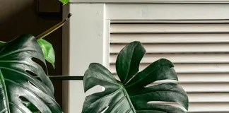 Micro-Louver Plantation Shutters: Privacy & Light Control Explained