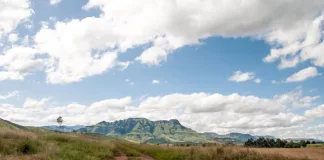 How Wego Makes Planning South Africa Road Trips Effortless