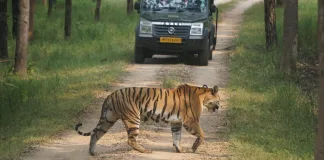 Madhya Pradesh Tourism – Explore the Heart of Incredible India Madhya Pradesh Tourism – Explore the Heart of Incredible India