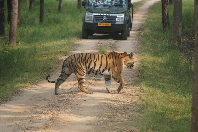 Madhya Pradesh Tourism – Explore the Heart of Incredible India