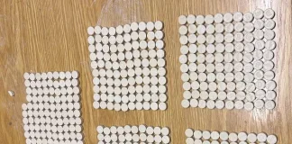 Court Imposes 8-Year Sentence and R25k Fine in Drug Trafficking Case