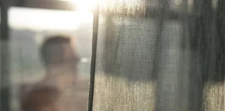 A Fresh Approach to Comfort: Why Every Home Needs Fly Screens for Windows
