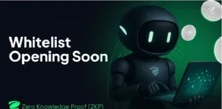 Before Institutions Buy In—Zero Knowledge Proof (ZKP) Whitelist Will Let You Get There First