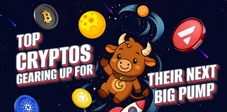 5 High-ROI Cryptos on the Verge of Explosion — Whales Tighten the Net Around MoonBull Amid ADA and TRX’s Fragile Moves