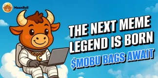 Get Easy Money Fast: MoonBull Presale Is the Best Crypto to Buy Right Now, While Stellar and Bitcoin Cash Gain Traction