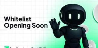 Zero Knowledge Proof (ZKP) Whitelist Nears Launch - Is This the Best Crypto for 2025?