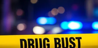 Major Cocaine Bust in Midrand Sees R20 Million in Drugs Seized, One Arrested